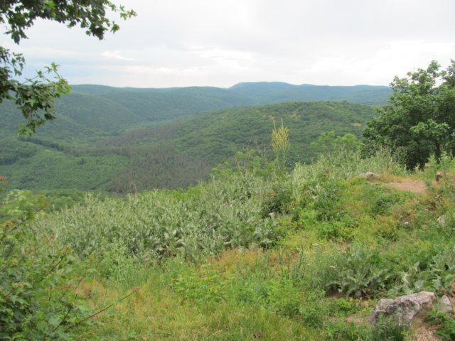 img_9664.jpg