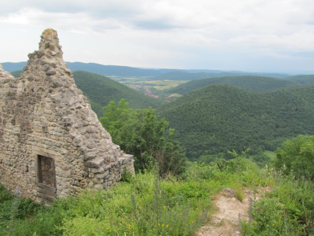 img_9665.jpg